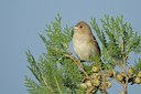 BUITEN BEELD Foto: 107858