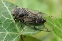 BUITEN BEELD Foto: 107867