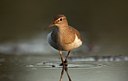 BUITEN BEELD Foto: 107932