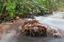 BUITEN BEELD Foto: 107971