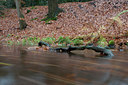 BUITEN BEELD Foto: 107972