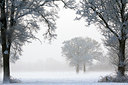 BUITEN BEELD Foto: 107991