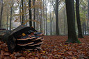 BUITEN BEELD Foto: 108003