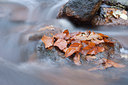 BUITEN BEELD Foto: 108006