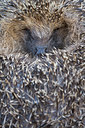 BUITEN BEELD Foto: 108053