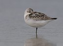 BUITEN BEELD Foto: 108080