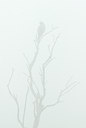 BUITEN BEELD Foto: 108126