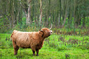 BUITEN BEELD Foto: 108136