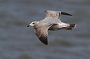 BUITEN BEELD Foto: 108140