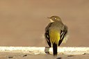 BUITEN BEELD Foto: 108237