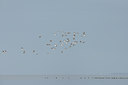 BUITEN BEELD Foto: 108242