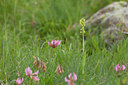 BUITEN BEELD Foto: 108273