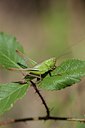 BUITEN BEELD Foto: 108286