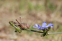 BUITEN BEELD Foto: 108295