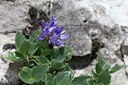 BUITEN BEELD Foto: 108366