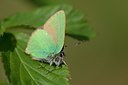 BUITEN BEELD Foto: 108406
