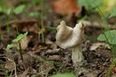 BUITEN BEELD Foto: 108422
