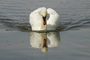 BUITEN BEELD Foto: 108427