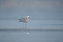 BUITEN BEELD Foto: 108468