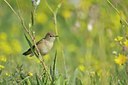 BUITEN BEELD Foto: 108478