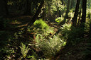BUITEN BEELD Foto: 108482