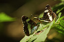 BUITEN BEELD Foto: 108487