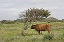 BUITEN BEELD Foto: 108565