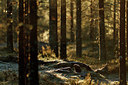 BUITEN BEELD Foto: 108623
