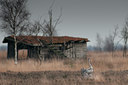 BUITEN BEELD Foto: 108669