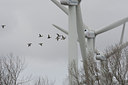 BUITEN BEELD Foto: 108674