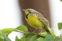 BUITEN BEELD Foto: 108679
