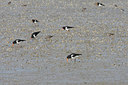 BUITEN BEELD Foto: 108688