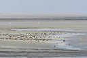 BUITEN BEELD Foto: 108690