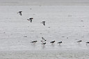 BUITEN BEELD Foto: 108691