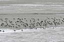 BUITEN BEELD Foto: 108692