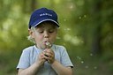 BUITEN BEELD Foto: 108780