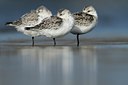 BUITEN BEELD Foto: 108832