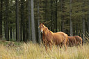 BUITEN BEELD Foto: 108843