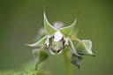BUITEN BEELD Foto: 108872