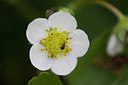 BUITEN BEELD Foto: 108878