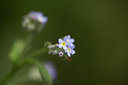 BUITEN BEELD Foto: 108907