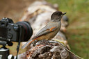 BUITEN BEELD Foto: 108929