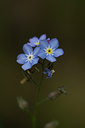 BUITEN BEELD Foto: 108948