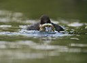 BUITEN BEELD Foto: 108970