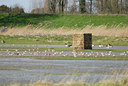 BUITEN BEELD Foto: 10127
