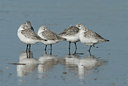 BUITEN BEELD Foto: 10259