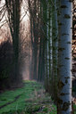 BUITEN BEELD Foto: 10377