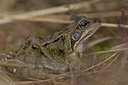 BUITEN BEELD Foto: 10596