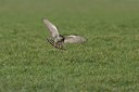 BUITEN BEELD Foto: 10615