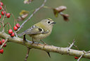 BUITEN BEELD Foto: 10696